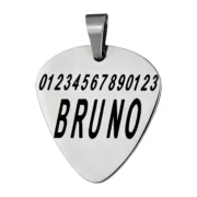 Custom Guitar Pick Pendant - Image 2