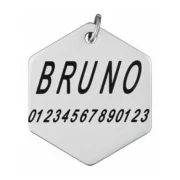 Custom Hexagon Pet ID Tag - Image 2