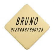 Custom Gold-Tone Square Pet ID Tag (M) - Image 2