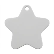 Custom Star Pet ID Tag