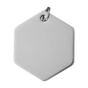 Custom Hexagon Pet ID Tag