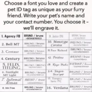 Bat Pet ID Tag - Image 4