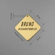Custom Gold-Tone Square Pet ID Tag (M) - Image 4
